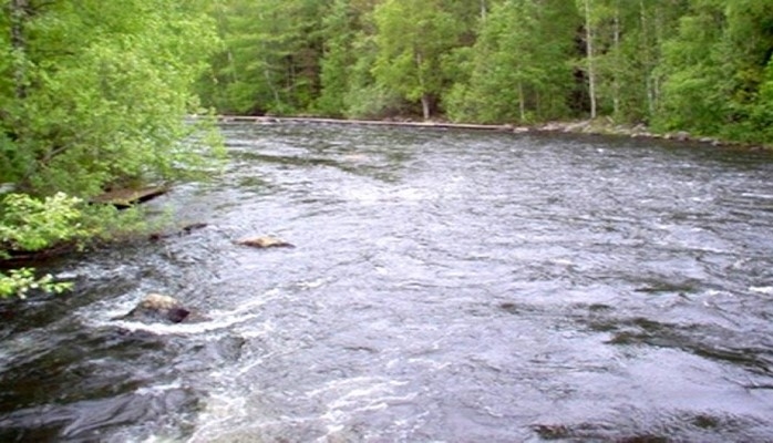 В пункте Сальян реки Кура отмечено понижение уровня воды на 20 см