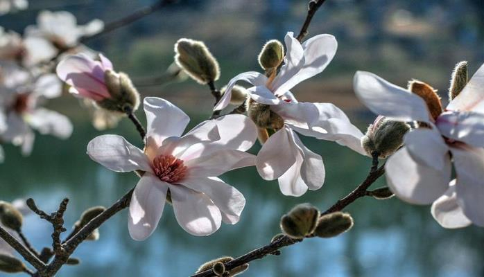 Ученые выяснили, как весна меняет организм человека