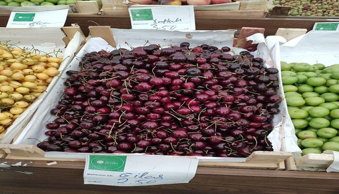 “İyunda gilasın qiyməti həmişə belə olub” - Nazirlikdən açıqlama