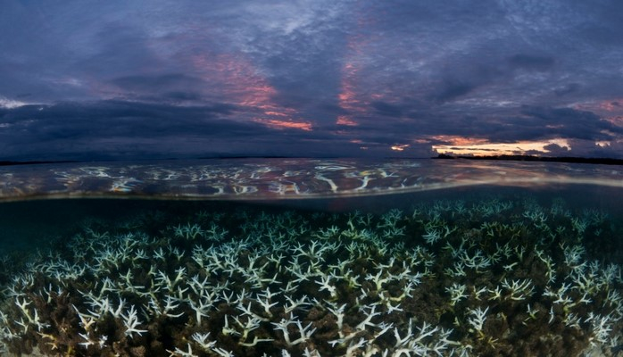 Dünya okeanları gözlənildiyindən 40 faiz daha sürətlə isinir