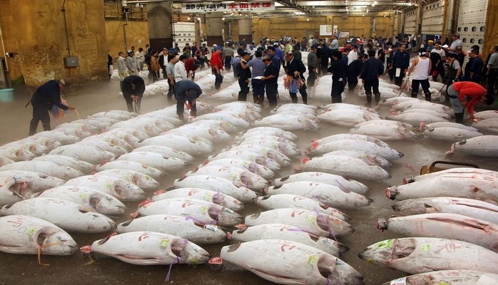 В Токио закрылся крупнейший в мире рыбный рынок