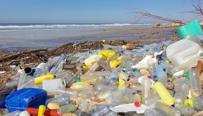 Sağlam ətraf mühit üçün birgə çalışmalıyıq