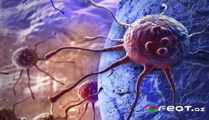 Как и когда появился рак?