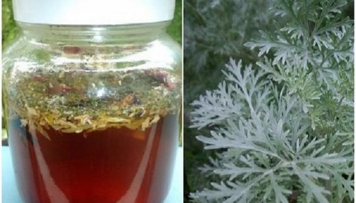 Yovşanla müalicə - Orqanizmi çürüdən hər şeyi məhv edir