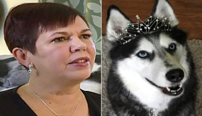 İt sahibini dörd dəfə xərçəngdən xilas etdi