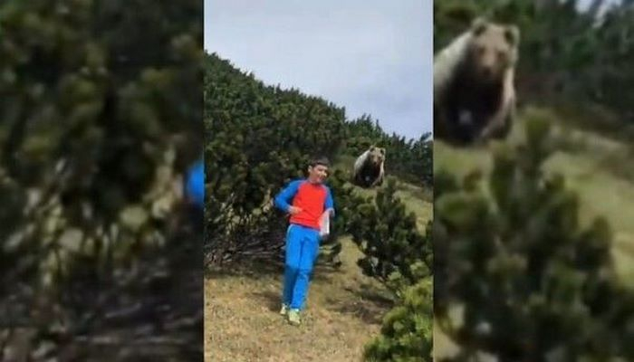 12-летний мальчик спокойно ушел от преследовавшего его медведя