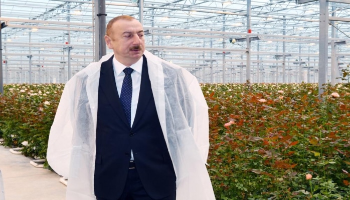 Президент Ильхам Алиев ознакомился с цветоводческой теплицей в Габале
