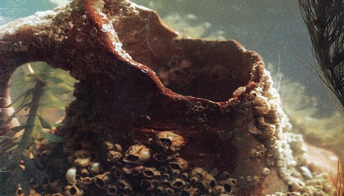 Сокровища на дне Каспия: находки древних городищ Азербайджана 12-13 вв. (ФОТО)