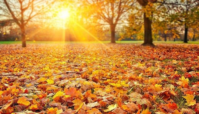 Azərbaycana payız fəslinin daxil olacağı dəqiq vaxt açıqlanıb