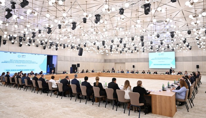 COP29 ilə əlaqədar Təşkilat Komitəsinin altıncı iclası keçirilib