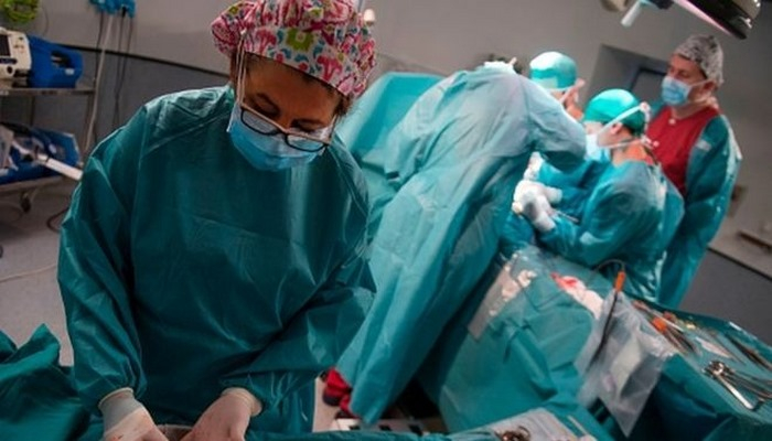 Ölümdən sonra orqanlar necə bağışlana bilər? - Qaydalar