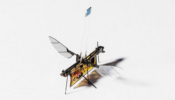 “NASA” Marsa “robot milçəklər” buraxmağı planlaşdırır