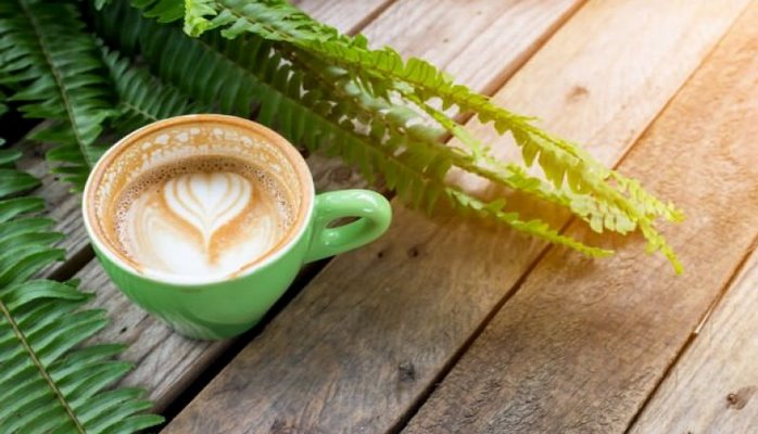 Südlü yaşıl çayın faydaları - Damarları bərkidir, stressi yox edir