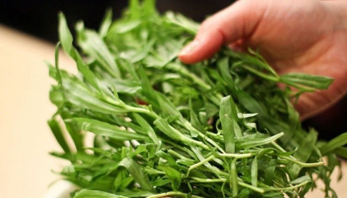 Tərxunun bilmədiyiniz  faydaları