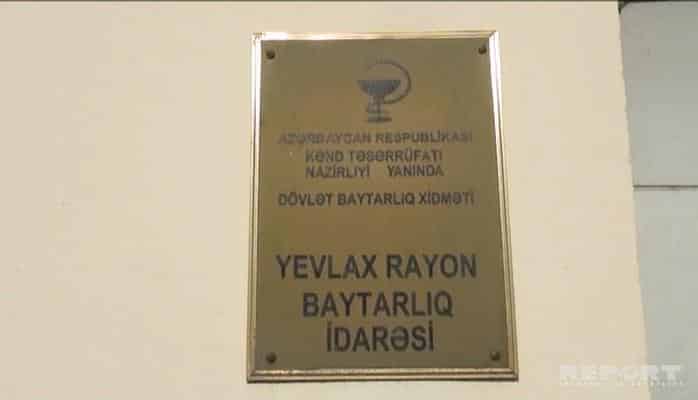 Освобождён от должности начальник Евлахского районного ветеринарного управления