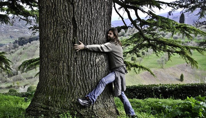 İslandiyalıları insanların yerinə ağacları qucaqlamağa çağırdılar