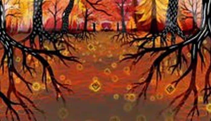 Ağaclar köklərində və kök ətrafındakı göbələklər vasitəsiylə bir-biriylə "danışır"