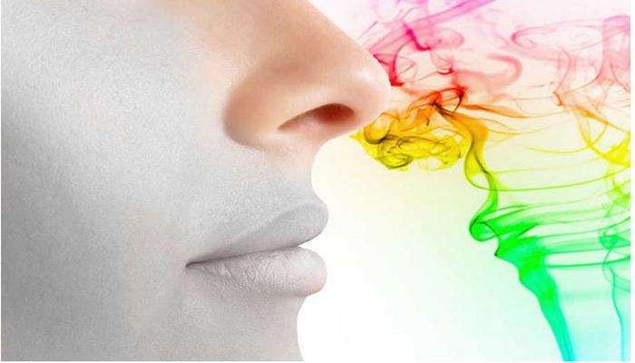 Dad və iybilmə hissi niyə itir? – SƏBƏBLƏR