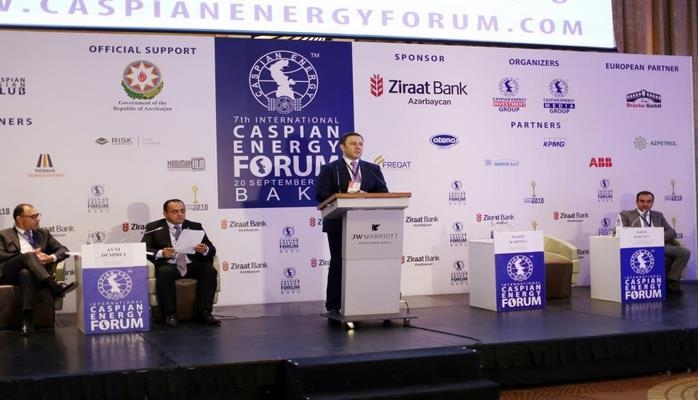 Əmək və əhalinin sosial müdafiəsi nazirinin müavini “Caspian Energy Forum Baku-2018”də iştirak edib