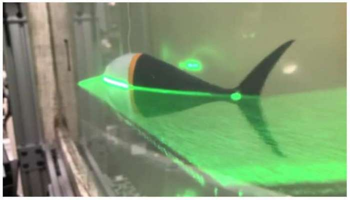 Robot balıq yaradıldı - Texnoloji yenilik