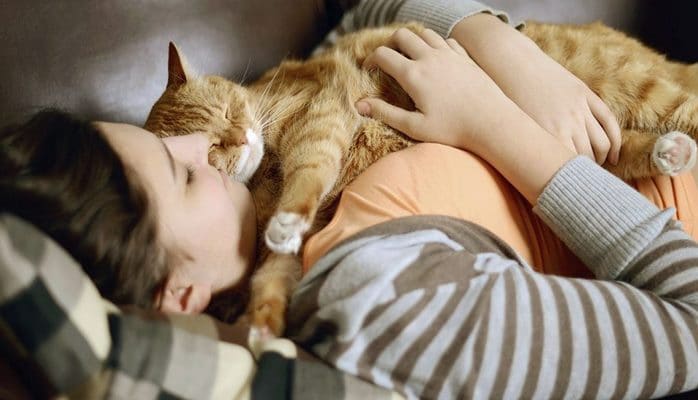 Кот и человек – секреты сна в одной постели