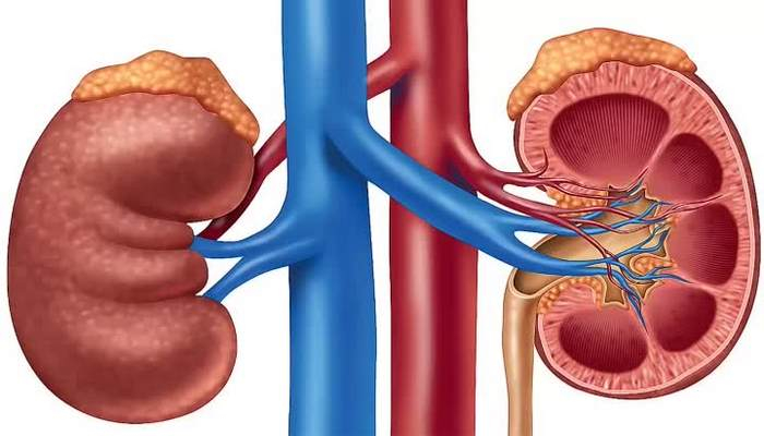 Böyrəklərə zərər verən 7 vərdiş