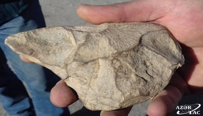 Qaxda tapılan daş əmək alətinin 300 min il yaşı var