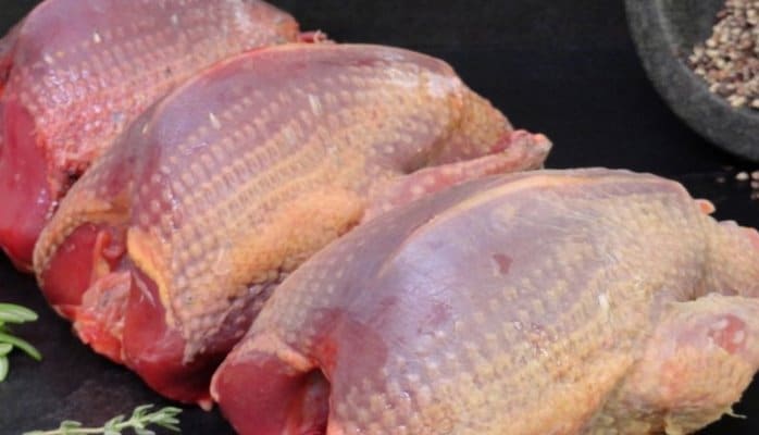 Təzyiq, piylənmə, xərçəng.. - göyərçın ətinin faydaları