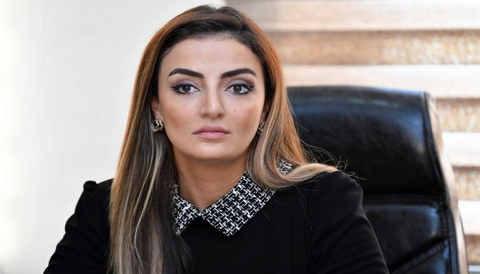 Deputat: Azərbaycan Silahlı Qüvvələri istənilən vəzifəni yüksək səviyydə icra etmək iqtidarındadır