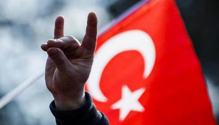 Der Tagesspiegel: “Türk millətçiləri böyük Turan dövləti qurmaq istəyir”