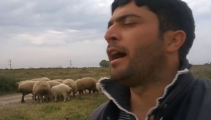 Məşhur azərbaycanlı çoban tələbə adını qazandı