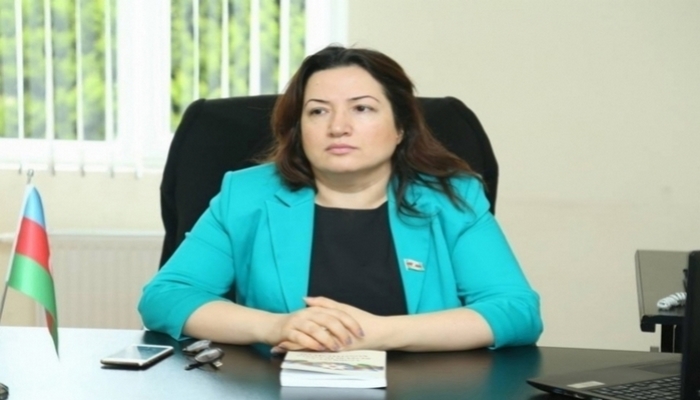 Dövlətimizin başçısının Gəncəyə hər səfəri şəhərin inkişafına yeni təkan verir - ŞƏRH