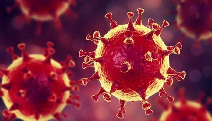 Dünya genelinde koronavirüsten iyileşenlerin sayısı 5,5 milyonu geçti