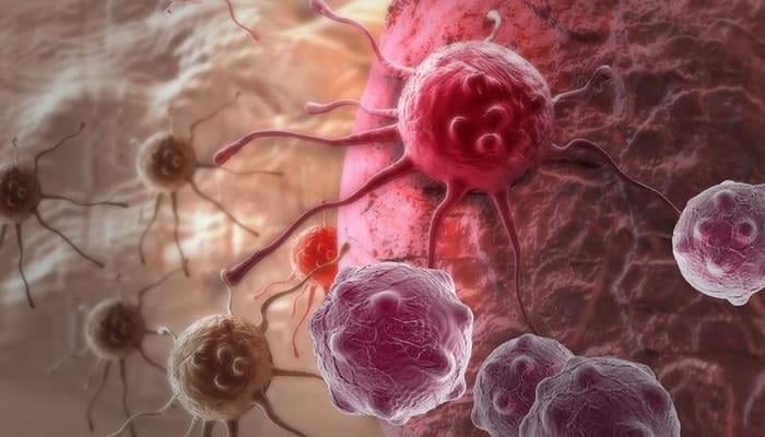 Mütəxəssislərdən qadınlara xərçəng xəbərdarlığı: hər gün bu bitkilərdən yeməsəniz...