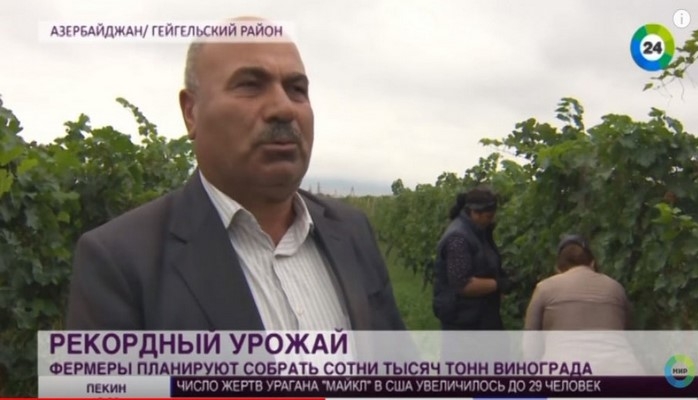 Телеканал «МИР 24»: В Азербайджане собран богатый урожай винограда