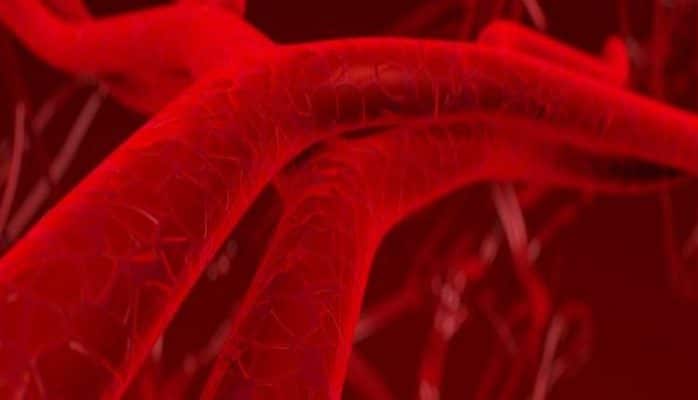 Ученые впервые вырастили кровеносные сосуды человека