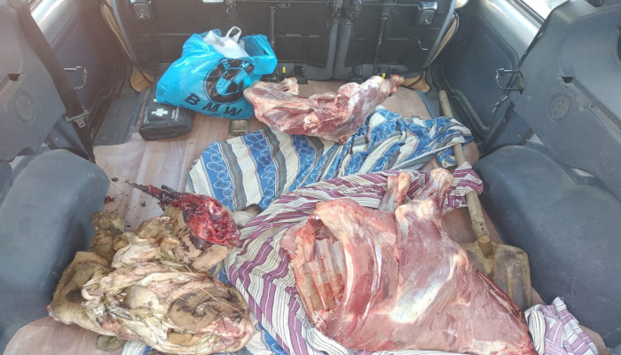 Gəncədə 100 kq yararsız ətin satış şəbəkəsinə daxil olmasının qarşısı alınıb