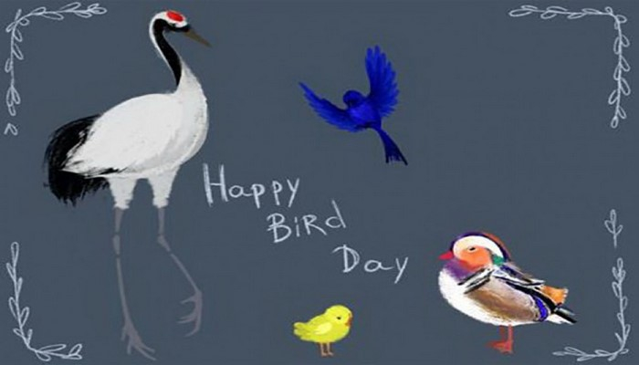Aprelin 1-i Beynəlxalq Quşlar Günüdür
