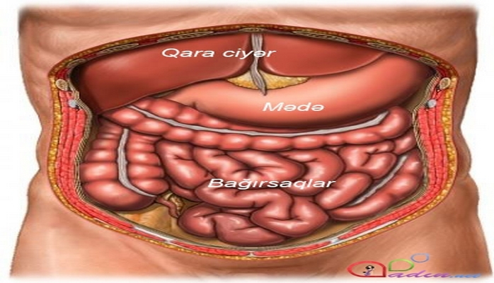 Bağırsaqların düşməni olan 4 qida