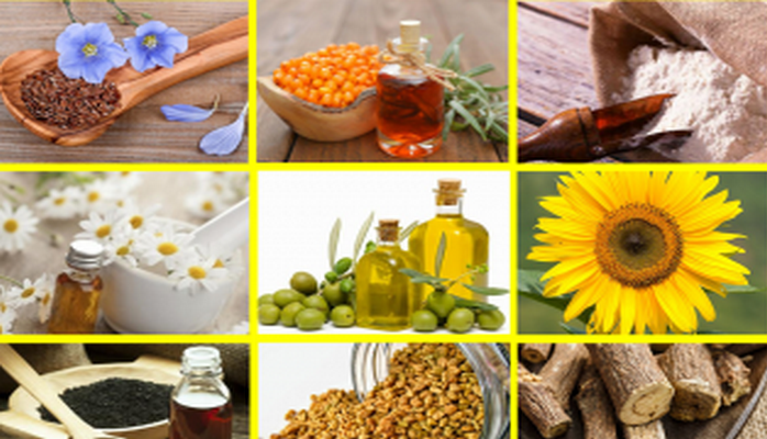 Mədə bağırsaq xəstəliklərində dərman bitkiləri