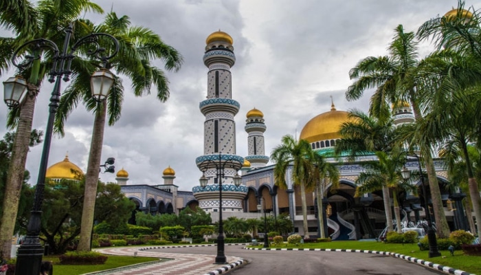 В Брунее зафиксировали первый случай смерти от коронавируса