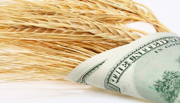 Fermerlərə subsidiyaların verilməsində yeni qaydalar