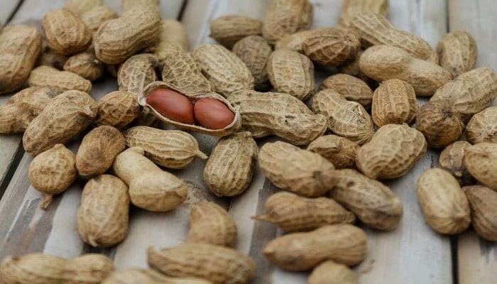 Медики назвали вредные для здоровья орехи