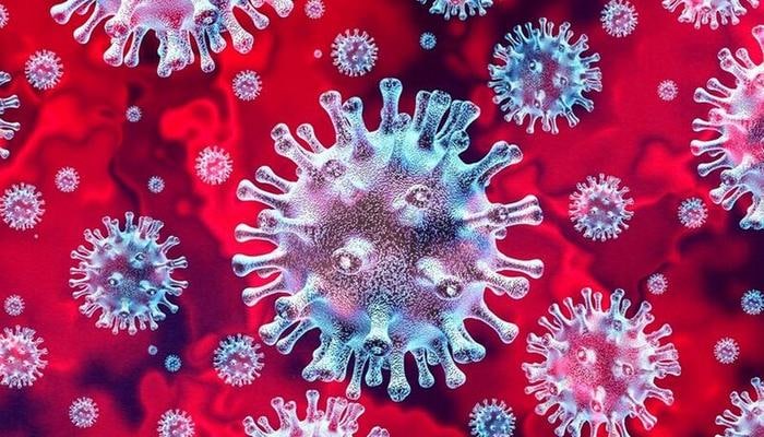 Koronavirusa qarşı immun sistemimiz yarana bilər? - Mütəxəssislərdən ümidverici açıqlamalar
