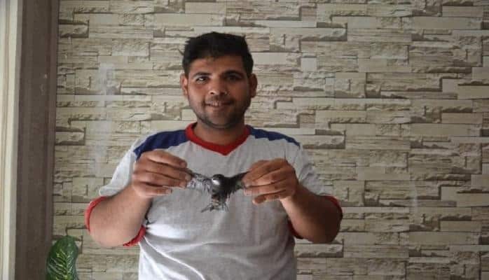 Dini rəvayətlərdə adı çəkilən quş Türkiyədə tapılıb