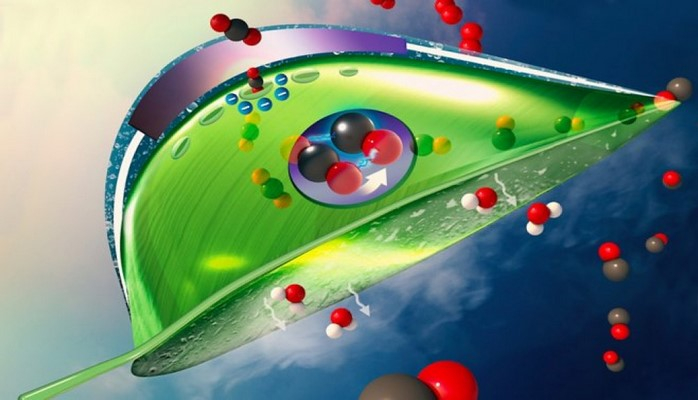 Süni yarpaqlar qlobal istiləşmə ilə mübarizədə kömək edəcək