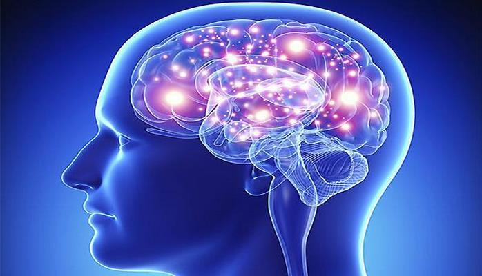 Ученые: Высокотехнологические чипы в мозге помогут человеку достичь суперинтеллекта