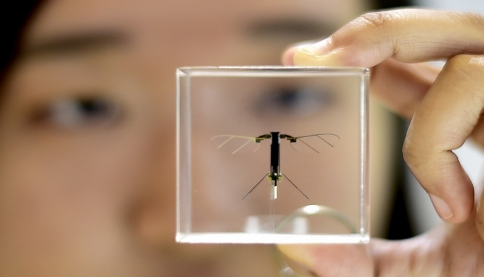 Arı-robotlar həşəratlar məhv olduğu halda bitkiləri tozlandıra bilər