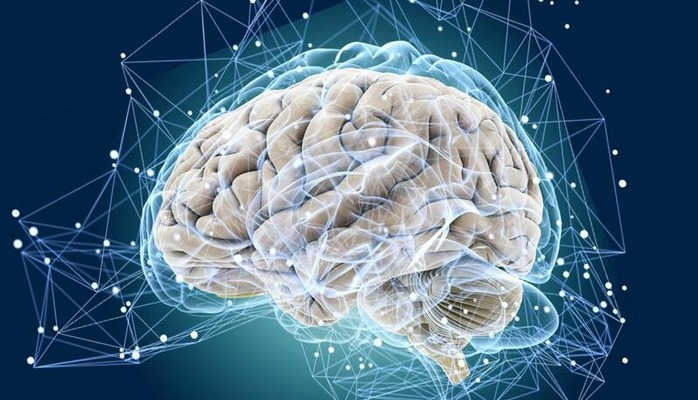 Ümumdünya Səhiyyə Təşkilatı beyin qocalmasını ləngidən məhsulları açıqladı