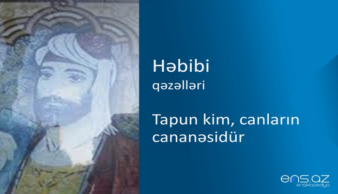 Həbibi - Tapun kim, canların cananəsidür